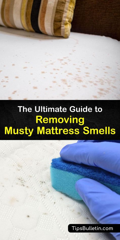 Mattresses attract odor and allergens. Discover how to refresh your memory foam mattress, air mattress, or traditional mattress with the best mattress care tips and tricks. Learn how to use simple things like vinegar for your old or new mattress. #remove #musty #smell #mattress Diy Mattress Cleaner, Mold Smell, Mattress Cleaner, Diy Mattress, Smell Remover, Stain Removal Guide, Diy Household Cleaners, New Mattress, Natural Cleaning Solutions