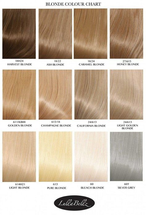 Hair Color For Fine Thinning Hair, Blond Shades Of Hair, Light Sandy Blonde Hair, Blonde Hair Color Chart, Champagne Blond, Cosmo School, Champagne Blonde Hair, Honey Blonde Hair Color, Honey Hair Color