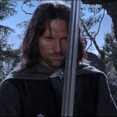 The Lord of the Rings: The Fellowship of the Ring Lord Of The Rings Pfp, Aragorn Icon, Lord Of The Rings Icons, Lotr Aesthetic, Asoiaf Aesthetic, The Fellowship Of The Ring, Ring Icon, Viggo Mortensen, Fellowship Of The Ring