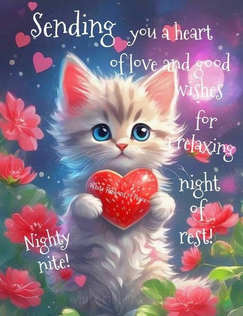 Nighty Night Quotes, Sweet Good Night Messages, Good Night Hug, Good Night Love Pictures, Good Night Qoutes, Goodnight Wishes, Good Night Cat, Good Night Prayer Quotes, Beautiful Good Night Quotes