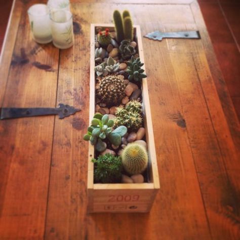 Wine Box Cactus Planter Wooden Wine Boxes Crafts, Wine Boxes Ideas Projects, Wine Crate Crafts, Wine Box Garden, Wine Box Diy, Wine Box Crafts, Making Candle Holders, Repurposed Planter, Personalized Wine Box