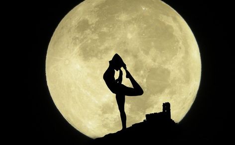 Happy Halloween! Celebrate this mystical time of year with a yoga flow and meditation surrendering you to the natural cycles of the moon’s ethereal phases. Halloween Yoga, Sky Yoga, Moon Yoga, Natural Cycles, Pitta Dosha, Fitness Gadgets, Yogi Bear, Stem Cell Therapy, Black Background Images