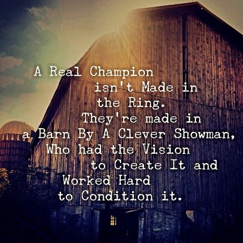 A Real Champion isn't made in the Ring. They're Made in a Barn by A Clever Showman, Who had the Vision to Create It, and Worked Hard to Condition it. 4h Quotes, Showing Cattle Quotes, Cattle Quotes, Pig Quotes, Farm Life Quotes, Pigs Quote, Livestock Quotes, Showing Cattle, Livestock Showing