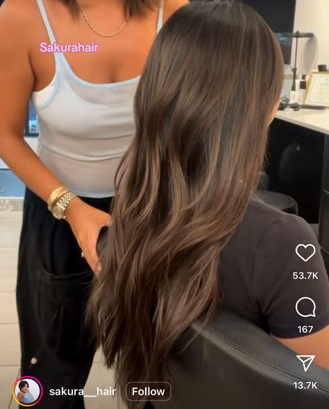 Haïr Cut For Thick Hair, Ashy Brown Balayage, Ashy Brown, Brown Hair Inspiration, Beige Highlights, Black Hair Balayage, Thick Hair Cuts, Brown Ombre Hair, Brown Hair Inspo