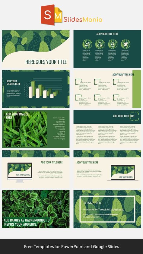 Green Presentation, Plant Presentation, Presentation Slides Design, Powerpoint Slide Designs, Template For Powerpoint, Presentation Design Layout, Desain Buklet, Slides Design, Powerpoint Design Templates