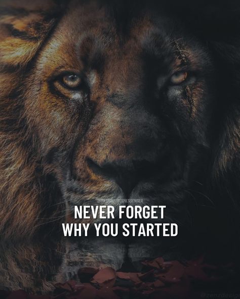 Lion Motivation Quotes, Lion Attitude Quotes, Lion Quote, Tiger Quotes, Leo Quotes, Lion Quotes, Wolf Quotes, Self Inspirational Quotes, Inspirational Quotes With Images