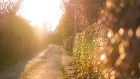 Damien Chazelle, Fotografi Vintage, Image Background, Cinematic Photography, Film Aesthetic, Nature Aesthetic, Vector Stock, Background Wallpaper, Photography Inspo