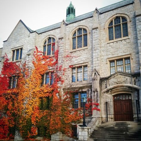 Queens University Aesthetic, City In Winter, Queens University, University Inspiration, University Aesthetic, Future Aesthetic, School Dorm, Queen's University, Kingston Ontario