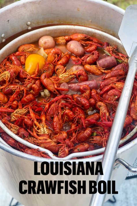 Have you ever boiled your own crawfish? It's not as difficult as you may think. We tell you how step by step! Check it out on PontchartrainKitchen.com #crawfish #louisiana #crawfishboil #louisianasaturdaynight #boiledcrawfish #louisianacrawfish Crawfish Crab And Shrimp Boil, Cooking Crawfish, Cajun Crawfish Boil, Boiled Crawfish Recipes Louisiana, How To Cook Crawfish Boil, Louisiana Crawfish Boil, Seafood Boil Crawfish, How To Boil Crawfish, Boiled Crawfish