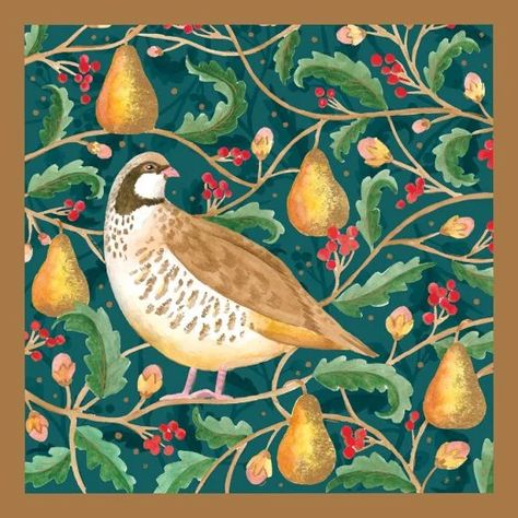 Cards Bug Woman, 12 Days Of Christmas Illustration, Advent Window Ideas, Pears Decor, 12 Days Of Xmas, Partridge In A Pear Tree, Sitting In A Tree, Days Before Christmas, Pear Trees