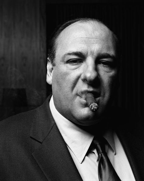 Image of the actor James Gandolfini, from The Sopranos. James Gandolfini, White Photo, Suit And Tie, Black And White, White, Black