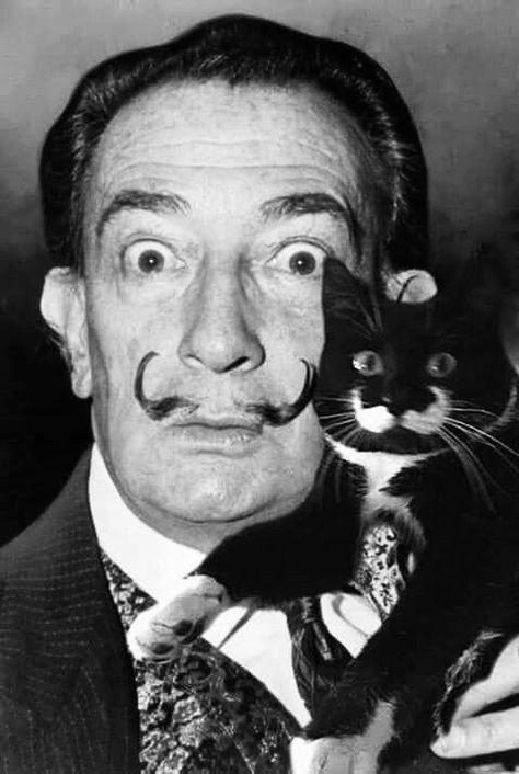 Celebrities With Cats, Men With Cats, Salvador Dali Art, Dali Paintings, Dali Art, National Cat Day, Art Ancien, Cat People, Foto Art