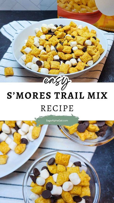 If you love classic s’mores flavors but want an allergy-friendly option without the campfire, this s’mores trail mix recipe is the perfect solution. This snack mix combines dairy-free chocolate, mini marshmallows, and crunchy graham-inspired bites for a delicious, safe treat everyone can enjoy. Whether you’re looking for a fun snack mix for a road trip, an after-school snack, or a simple party mix, this s’mores trail mix is an easy, no-cook recipe you’ll want to make again and again. Dairy Allergy Recipes, Trail Mix Recipe, Alpha Gal, Homemade Trail Mix, Trail Mix Recipes, Trip Snacks, Dairy Free Snacks, Carob Chips, Refreshing Snacks