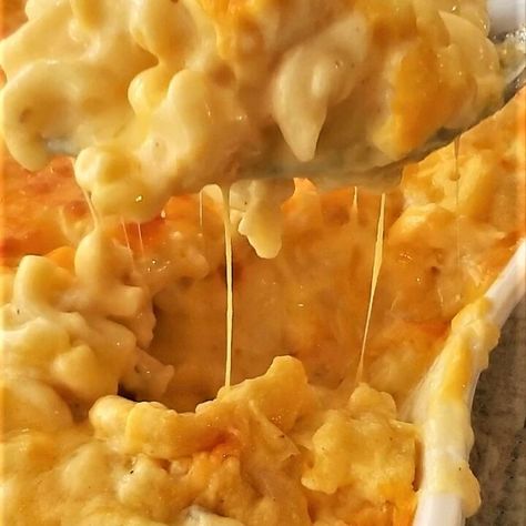 The Creamiest Gluten Free Baked Macaroni and Cheese - Let Them Eat Gluten Free Cake Max And Cheese, Celiac Diagnosis, Gluten Free Mac And Cheese, Gf Pasta, Baked Macaroni And Cheese, Side Dish Ideas, Allergen Free Recipes, Gluten Free Thanksgiving, Vegetarian Pasta Recipes