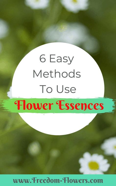 Some easy options for how to use your flower essences. #floweressences #easymethods Flower Essences Remedies, Bach Flower Remedies, Flower Remedy, Limbic System, Natural Health Care, Holistic Lifestyle, Medical Terms, Flower Essences, Natural Health Tips