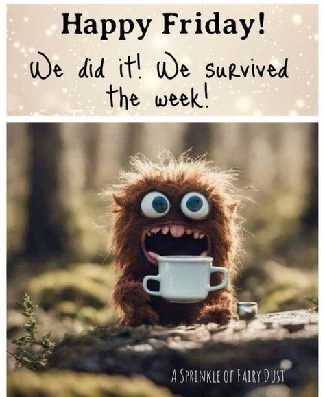 Happy Friday Funny, Morning Funnies, Happy Friday Humour, Friday Funny, Inspirational Good Morning Messages, Happy Day Quotes, Workplace Humor, Good Morning Happy Friday, Good Morning Funny Pictures