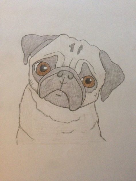 I love my drawing of a pug Easy Pug Painting, Pet Sketch Drawings, Cute Pug Drawing Easy, Pug Drawing Sketches, Puggle Drawing, Pet Drawings Easy, How To Draw A Pug, Pug Cartoon Drawing, Pug Face Drawing