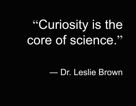 Scientific Quote, Physics Quotes, Cosmic Quotes, Curiosity Quotes, Scientist Quote, Chemistry Quotes, Creepy Quotes, Words Of Appreciation, Science Quotes