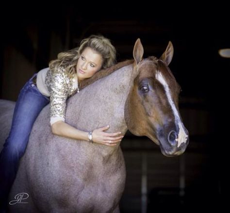 VS Code Red Vs Code Red, Saddle Bred Horses, Red Horse Tack, English Vs Western Riding, Blood Bay Horse, Western Pleasure, Western Horse, Down On The Farm, Horse Photography