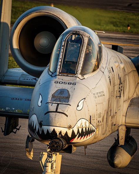 Warthog A-10, A 10 Warthog Wallpapers, 458 Socom, Marsoc Raiders, A10 Warthog, Jet Fighter Pilot, A 10 Warthog, Patriotic Projects, Cool Dirt Bikes