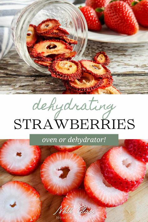 Turn those fresh strawberries into the most delicious treat by dehydrating them for later! They're a great snack but are also wonderful in oatmeal, scones, granola, and more. Frozen Strawberry Smoothie, Homemade Chili Powder, Dehydrated Strawberries, Real Food Snacks, Plant Based Recipes Breakfast, Plant Based Burgers, Seasonal Desserts, Nourishing Foods, Plant Based Breakfast