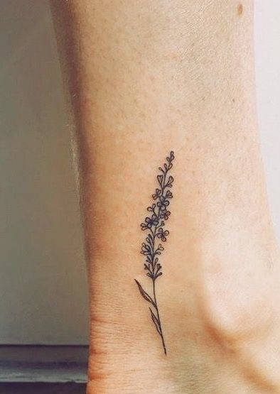 Blue Lupine Tattoo, Heather Tattoo Flower Design, Sprig Of Heather Tattoo, Hyssop Plant Tattoo, Fine Line Bluebonnet Tattoo, Small Scottish Tattoo, Indian Blanket Tattoo, Wild Mountain Thyme Tattoo, Heather Plant Tattoo