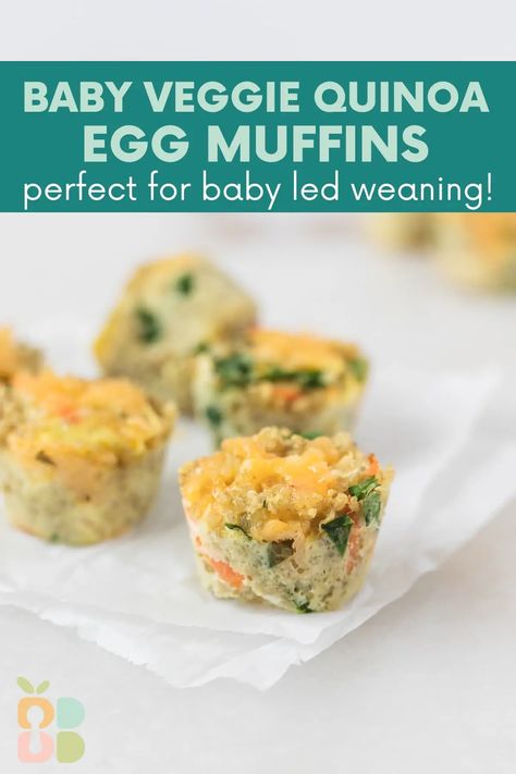 Led Weaning Meals, Baby Led Weaning Meals, Weaning Meals, Muffins Baby, Broccoli Patties, Zucchini Quinoa, Quinoa Egg, Veggie Quinoa, Veggie Bites