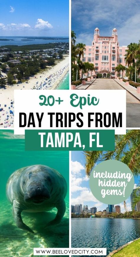 Things To Do In Tampa Florida For Adults, Tampa Florida Things To Do In, Rainbow Springs State Park, Florida Day Trips, Caladesi Island State Park, Things To Do In Tampa, Honeymoon Island, Florida Adventures, Great Place To Work