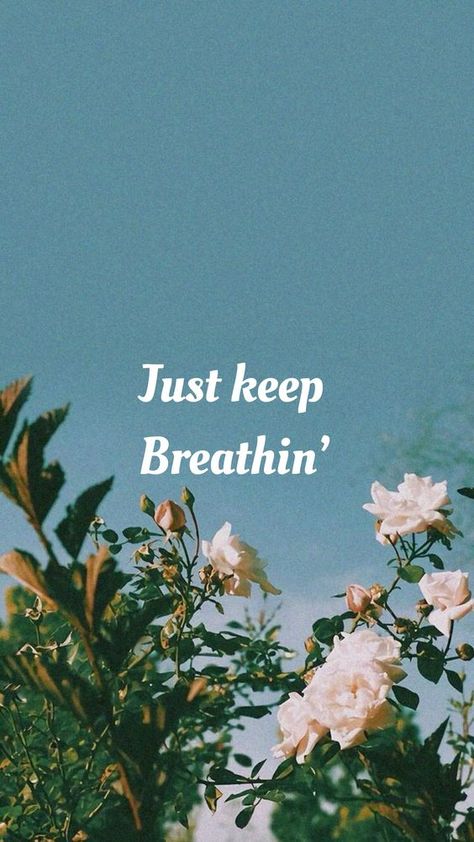 Just Keep Breathing, Ariana Grande Lyrics, Keep Breathing, Ariana Grande Images, Live Life Happy, Diy Music, Inspirational Quotes About Success, Whatsapp Wallpaper, Inhale Exhale