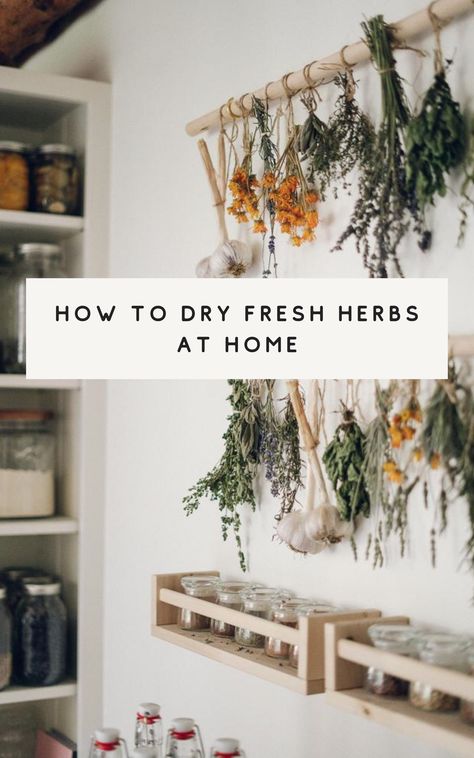 Best Guide For How To Dry Herbs From Your Garden How To Hang Herbs To Dry, Indoor Apothecary Garden, Indoor Herb Garden Diy Kitchens, Hobbit Feast, Herbs Drying, Drying Fresh Herbs, Food Recycling, Herbs At Home, Witchcraft Diy