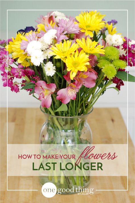 To ensure I will be able to enjoy my arrangement for as long as possible…I whipped up a batch of homemade flower food and figured I would share the recipe with you! I hope you find it helpful for your home flower arrangements! Homemade Flower Food, Cut Flower Food, Flowers Last Longer, Cut Flower Garden, Flower Care, Flower Food, Botanical Beauty, Fresh Cut Flowers, Water Flowers