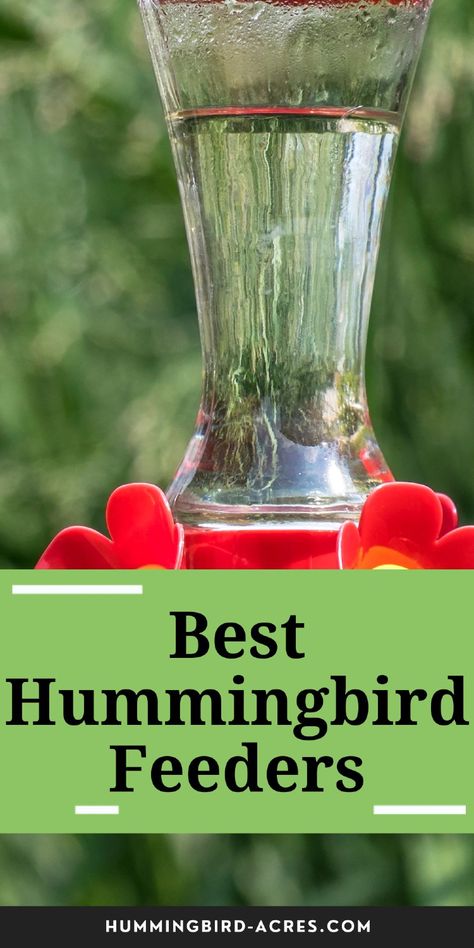 Want to bring more hummingbirds to your yard? Check out our top picks for the best hummingbird feeders that are both stylish and functional. Hummingbird Food Recipe Homemade, Diy Hummingbird Food, Hummingbird Food Recipe, Make Hummingbird Food, Homemade Hummingbird Nectar, Homemade Hummingbird Food, Hummingbird Nectar Recipe, Hummingbird Water, Diy Hummingbird Feeder