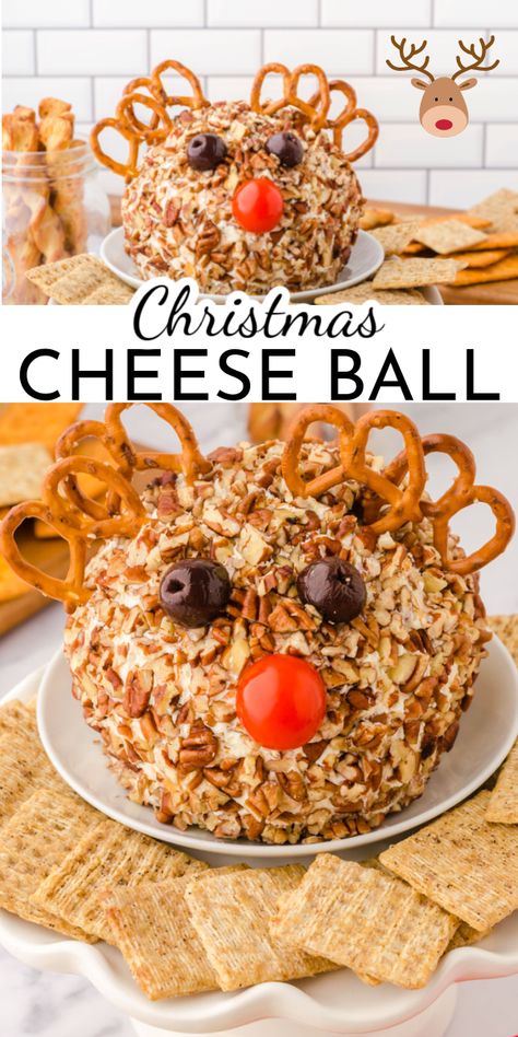 Bring on the party with this easy make ahead Christmas cheese ball. Serve it as is for any occasion or use a few strategically placed items to turn it into Rudolph! via @nmburk Rudolph Cheese Ball, Super Bowl Party Snacks, Christmas Cheese, Fancy Appetizers, Cheese Ball Recipes, Christmas Appetizers, Most Popular Recipes, Seasonal Recipes, Cheese Ball