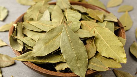 Don't Just Cook With Bay Leaves - Use Them To Protect Your Pantry Bay Leaves Uses, Bay Leaf Benefits, Pantry Bugs, Burning Bay Leaves, Dried Bay Leaves, Pest Prevention, Contaminated Food, Stink Bugs, Salad Leaves