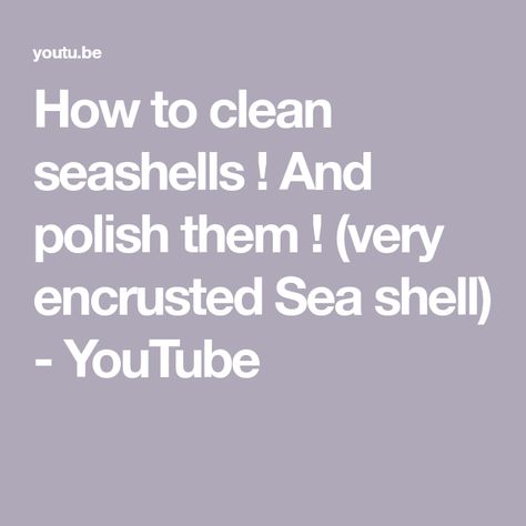 How to clean seashells ! And polish them ! (very encrusted Sea shell) - YouTube How To Clean Sea Shells, How To Clean Shells, How To Clean Seashells, Clean Seashells, Cleaning Sea Shells, Sea Shells Diy, Shells Diy, Seashell Crafts, Clam Shell