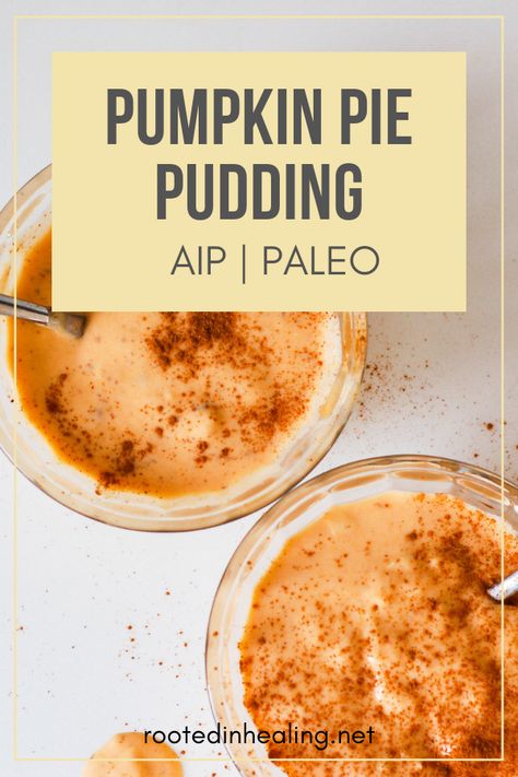 Pumpkin Pie Pudding, Aip Snack, Autoimmune Paleo Recipes, Aip Paleo Recipes, Dairy Free Pumpkin, Aip Desserts, Paleo Sweets, Aip Paleo, Paleo Treats