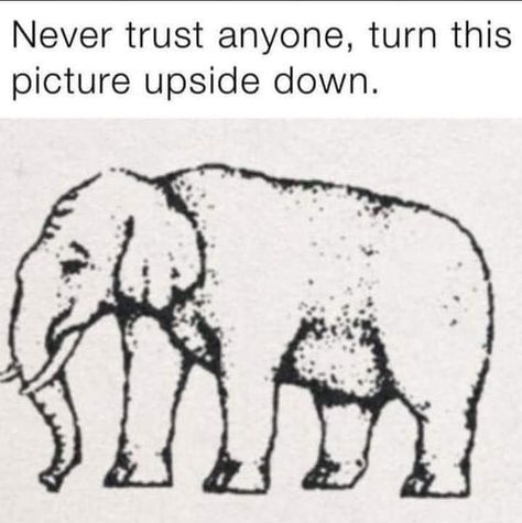 😂😂😂😂 Never Trust Anyone, Saved Pins, Never Trust, Upside Down, Trust Yourself, The Picture, Humor, Turn Ons, Memes