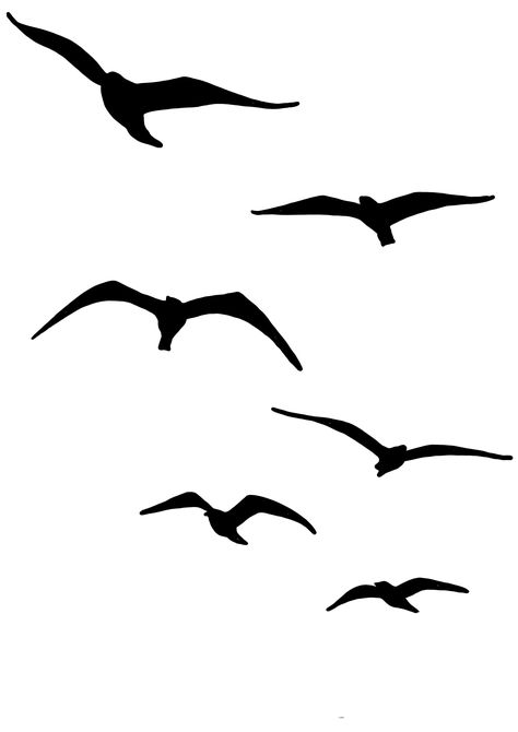 Shadow Bird Tattoo, Bird Tattoo Silhouette, Birds Flying Drawing, Birds Silhouette Flying, Flying Birds Drawing, Birds Flying Silhouette, Bird Flying Tattoo, Seagull Drawing, Seagull Silhouette