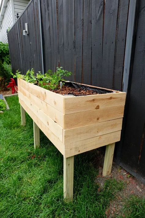 Diy Cedar Planter Box, Diy Wood Planter Box, Cedar Fence Pickets, Elevated Planter Box, Fence Picket, Elevated Gardening, Cedar Planter Box, Fence Planters, Raised Planter Boxes