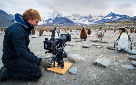 image Field Clothes, Bertie Gregory, Game Net, Aesthetic Field, Lake Scenes, Lucas Bravo, National Geographic Expeditions, South Georgia Island, Johnny Flynn