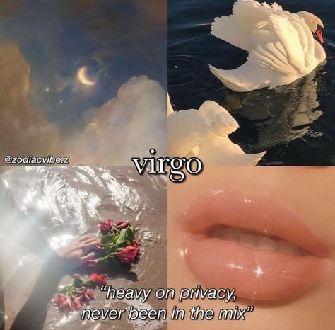 Virgo + Core + Aesthetic, Virgo Core, Virgo Earth Sign, Virgo Moon Sign, Virgo Flower, Virgo Emotions, Virgo Goddess, All About Virgo, Virgo Personality