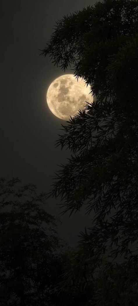 Pictures For Room Aesthetic, Full Moon Background Wallpapers, Night Collage Aesthetic, Moon Homescreen Wallpaper, Full Moon Wallpaper Aesthetic, Asthetic Wall Pictures Iphone, Moonlight Aesthetic Dark, Aesthetic Wallpaper Iphone Moon, Rare Aesthetic Wallpaper