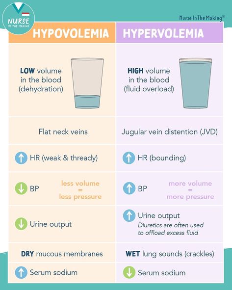 Nursing Electrolytes, Nclex Hacks, Nursing School Prep, Charting For Nurses, Nursing School Studying Cheat Sheets, Nurse Skills, Medical Assistant Student, Nclex Prep, Nursing School Essential