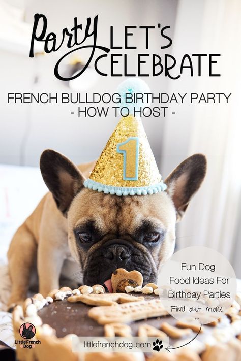 Having a birthday party is a pawriffic way to show your beloved French Bulldog how much you love them. We have same great tips for planning your next birthday party for your furbaby. #frenchbulldog #frenchie #brithdayparty French Bulldog Birthday Party, French Bulldog Party Theme, Frenchie Birthday Party, Pinata Party Ideas, Frenchie Photoshoot, Bulldog Birthday Party, Dog Birthday Cake Easy, French Bulldog Party, Cat Birthday Decorations