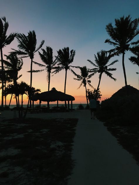 #sunrise #sun #florida #floridakeys #FL #beach #ocean #aesthetic #silhouette #palmtrees #sunsetphotography Beach Ocean Aesthetic, Aesthetic Silhouette, Ocean Aesthetic, Private Beach, Florida Keys, Sunset Photography, Palm Trees, Florida, Sun