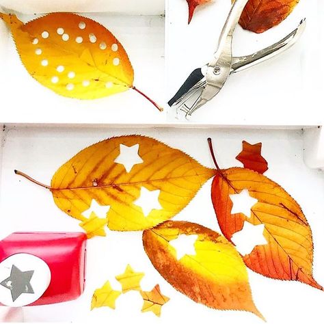 Anna - The Imagination Tree on Instagram: “LEAF HOLE PUNCH CONFETTI . 🍁 . Re-sharing an old favourite leaf activity for Autumn (actually works well in spring and summer too of…” Leaf Hole Punch, Hole Punch Leaves, November Montessori, Leaf Activity, Leaves Confetti, Reggio Provocations, Playful Parenting, Hand Muscles, Leaf Confetti