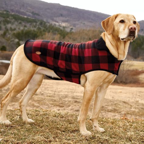 Puppy Planning, Dog Jackets, Dog Outfits, Dog Winter Coat, Cozy Dog, Best Dog Breeds, Dog Coat, Dog Gear, Pet Hacks