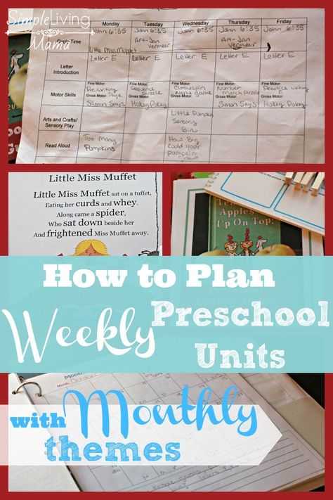 Mha Classroom, Themes Preschool, Preschool Planner, Homeschool Curriculum Planning, School Planning, Alphabet Animals, Homeschooling Preschool, Homeschool Preschool Curriculum, Preschool Schedule