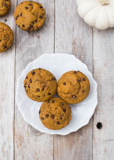 Healthy Kodiak Cakes Pumpkin Chocolate Chip Muffins - Kristy Denney Fresh Cranberry Muffins, Best Pumpkin Cheesecake Recipe, Pumpkin Chocolate Chip Muffin Recipe, Pumpkin Cranberry Muffins, Kodiak Cakes Recipe, Kodiak Pancakes, Canned Pumpkin Recipes, Best Pumpkin Pie Recipe, Pumpkin Recipes Healthy