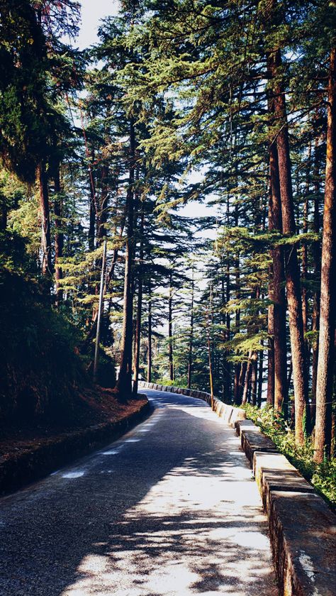 Landour Mussoorie Aesthetic, Mussorie Hills Aesthetic, Mussoorie Snap, Mussoorie Aesthetic, Lbsnaa Mussoorie Wallpaper, Mussoorie Photography, Landour Mussoorie, Nature Story, Mountains Aesthetic